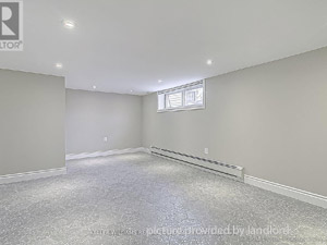 Image ViT 244554