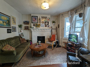 Image ViT 244558