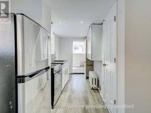 Image ViT 244567