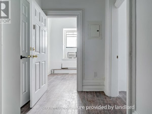 Image ViT 244575