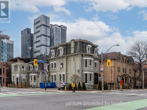 Image ViT 244576