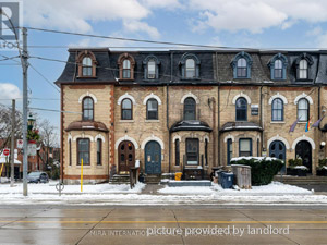 Image ViT 244586