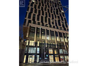 Image ViT 244596
