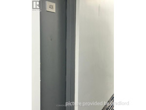Image ViT 244601