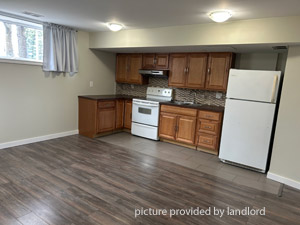 Image ViT 244604