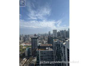Image ViT 244623