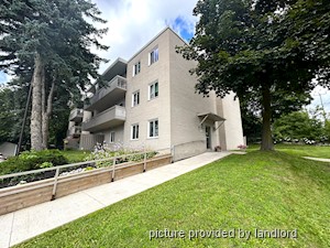 Image ViT 244624
