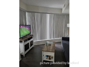Image ViT 244625