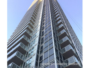 Image ViT 244630