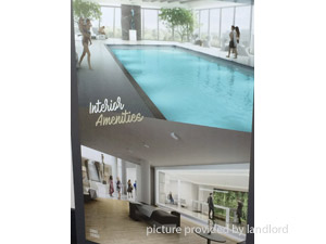 Image ViT 244630