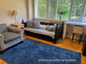 Image ViT 244635