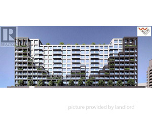 Image ViT 244643