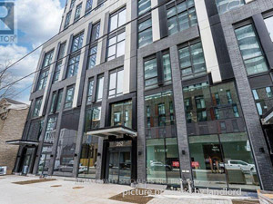 Image ViT 244644