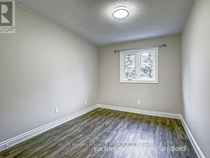 Image ViT 244647