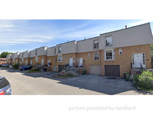Image ViT 244649