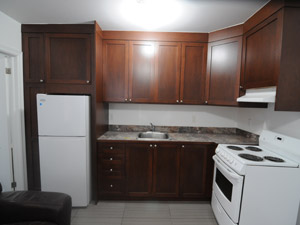 1 Bedroom apartment for rent in TORONTO