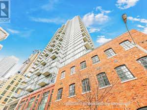 Image ViT 244656