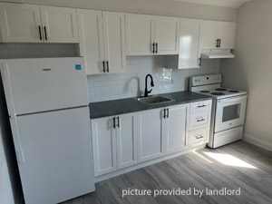Image ViT 244657