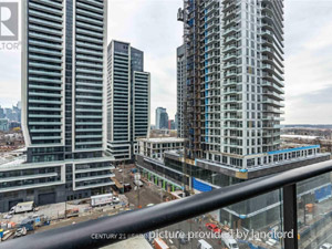 Image ViT 244669