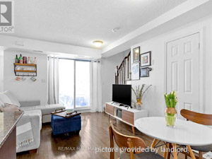 Image ViT 244679