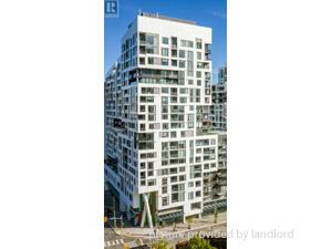 Image ViT 244687