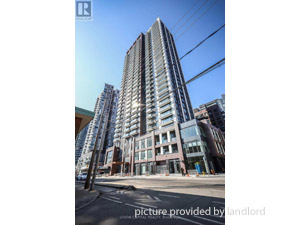 Image ViT 244715