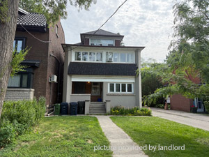 Image ViT 244719