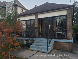 Image ViT 244720