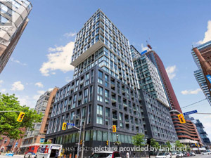 Image ViT 244724