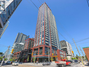 Image ViT 244725