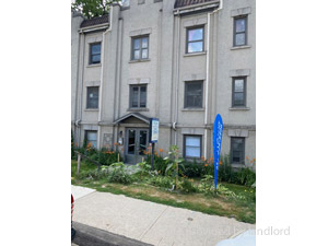 Image ViT 244742