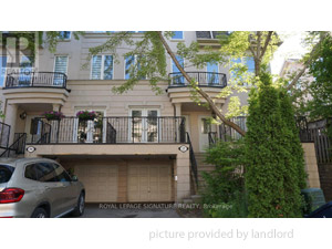 Image ViT 244746