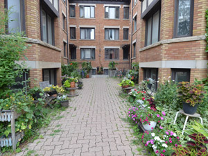 1 Bedroom apartment for rent in TORONTO