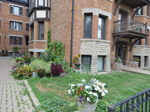 1 Bedroom apartment for rent in TORONTO