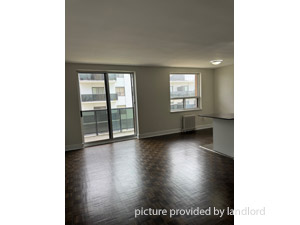 Image ViT 244782