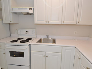 Bachelor apartment for rent in RICHMOND HILL      