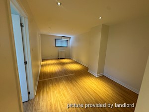 Image ViT 244803