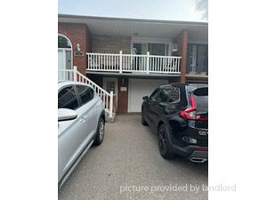 Image ViT 244811