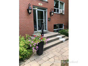 1 Bedroom apartment for rent in TORONTO 