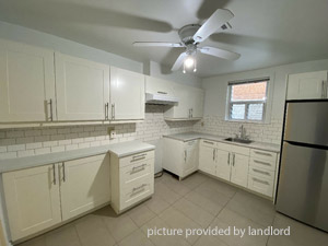 Image ViT 244816