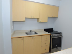 1 Bedroom apartment for rent in TORONTO      