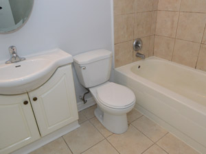 1 Bedroom apartment for rent in TORONTO      