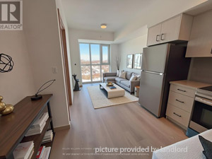 Image ViT 244820