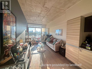 Image ViT 244822