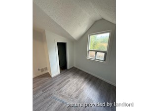 Image ViT 244830