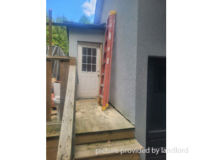 Image ViT 244830