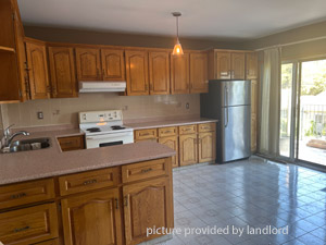 Image ViT 244831