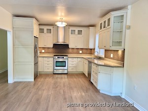 Image ViT 244862