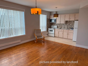 Image ViT 244867