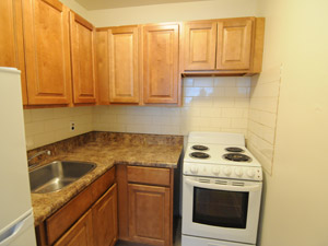 1 Bedroom apartment for rent in EAST YORK   